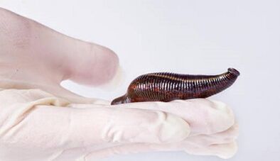 Leech крем мүчөсүн көбөйтөт